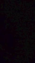 gallo186 — Cam4 stream photo (Jun 2026)
