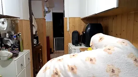 VanessaDoyle — Stripchat stream photo (Feb 2026)