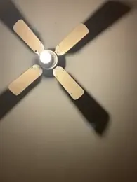 CarmeloA — Stripchat stream photo (Apr 2026)