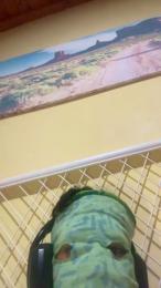 hottyboy1o — Cam4 stream photo (Jan 2026)