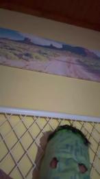 hottyboy1o — Cam4 stream photo (Jan 2026)