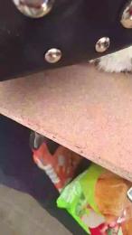 Madrid_sierra — modelo de webcam en línea en cam4