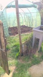 tomsauwer — modelo de webcam en línea en cam4