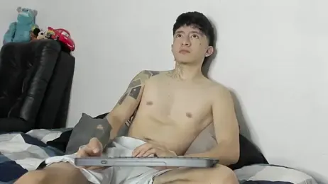 troy_rouge — Stripchat stream photo (Feb 2026)