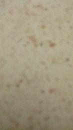 PowerLAY — Cam4 stream photo (Apr 2026)