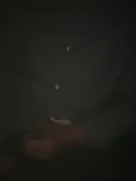 REIJI0323 — Stripchat stream photo (Mar 2026)