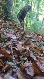 ralfion — Cam4 stream photo (Sep 2026)