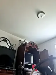 bigboytoy912 — Stripchat stream photo (Apr 2026)