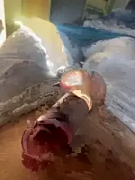 toto36643 — Stripchat profile photo