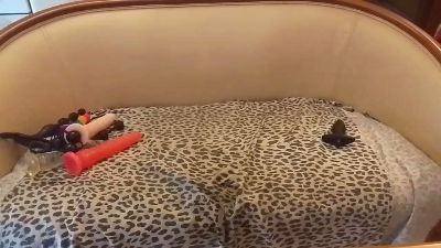 nik905 — Cam4 stream photo (Jun 2025)