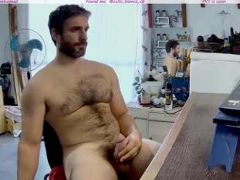 osito_blanco — modelo de webcam en línea en chaturbate