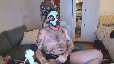 AlfyrPupX — Cam4 stream photo (Feb 2026)