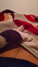 Pollatroni — Cam4 stream photo (Mar 2026)