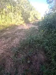 Timaoepumba — Stripchat stream photo (Jul 2026)