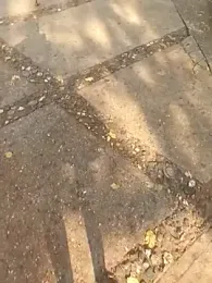 andresj22hot — Stripchat stream photo (Apr 2026)