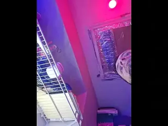 Mrkarizma — modelo de webcam en línea en stripchat