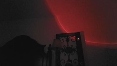 Alexander_Lamb6 — Cam4 stream photo (Sep 2026)