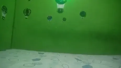 wilialex — Stripchat profile photo