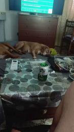 Lobovk82 — Cam4 stream photo (May 2026)