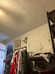Teasenpleasety — stripchat