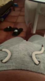 Potrocala1 — Cam4 stream photo (Jun 2026)