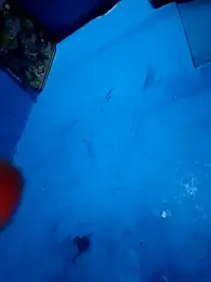 ruchigoutam — stripchat