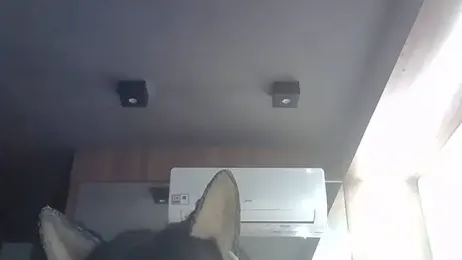 SkinnyKitten — Stripchat stream photo (Jun 2026)