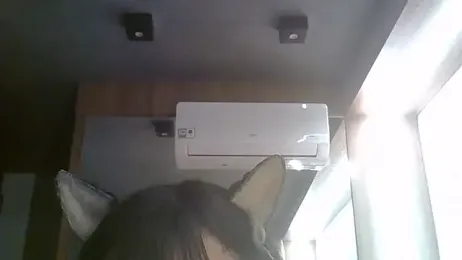 SkinnyKitten — Stripchat stream photo (Jun 2026)