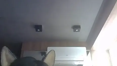 SkinnyKitten — Stripchat stream photo (Jun 2026)