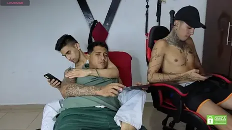 EliteBoysLive — modelo de webcam en línea en stripchat