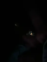 ken0fmjx — modelo de webcam en línea en stripchat
