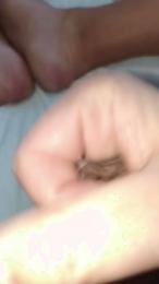 manumad33 — Cam4 stream photo (Feb 2026)