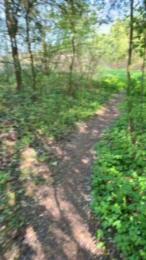 Justfunfranko — Cam4 stream photo (Apr 2026)