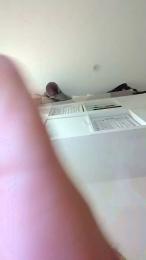 MetisBoMembre — modelo de webcam en línea en cam4