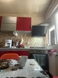 COBRAboySEX@xh — stripchat