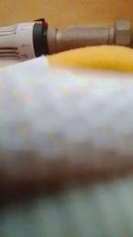 minex2 — modelo de webcam en línea en cam4