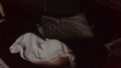 BrosWebsite — Cam4 stream photo (Apr 2026)