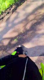 Bigdick95daddy — Cam4 stream photo (Apr 2026)