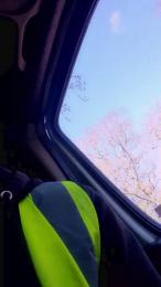 Bigdick95daddy — modelo de webcam en línea en cam4