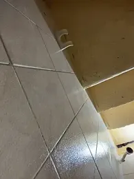 Alyha_Cortes — Stripchat stream photo (Feb 2026)