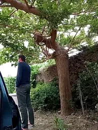 BZH45 — modelo de webcam en línea en stripchat