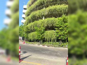 Tvoyasamka77 — bongacams