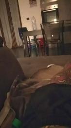 Louis19835 — Cam4 stream photo (Aug 2026)