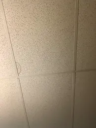 HotNJDad — Stripchat stream photo (Apr 2025)