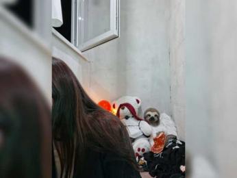 MommyAxFox — Bongacams stream photo (Jul 2026)