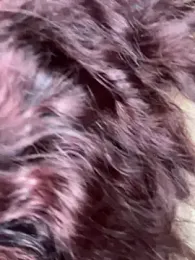 Mommyanddaddysexxy — Stripchat stream photo (Apr 2026)