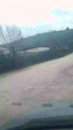 Danyblack1985 — Cam4 stream photo (Mar 2026)