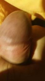 ECM86 — Cam4 stream photo (Apr 2026)