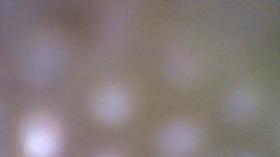 ticercoxsex — Cam4 stream photo (Feb 2026)