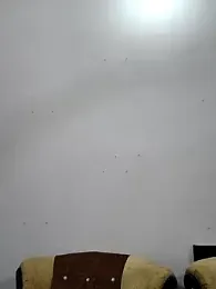 moustache72 — Stripchat stream photo (Mar 2026)